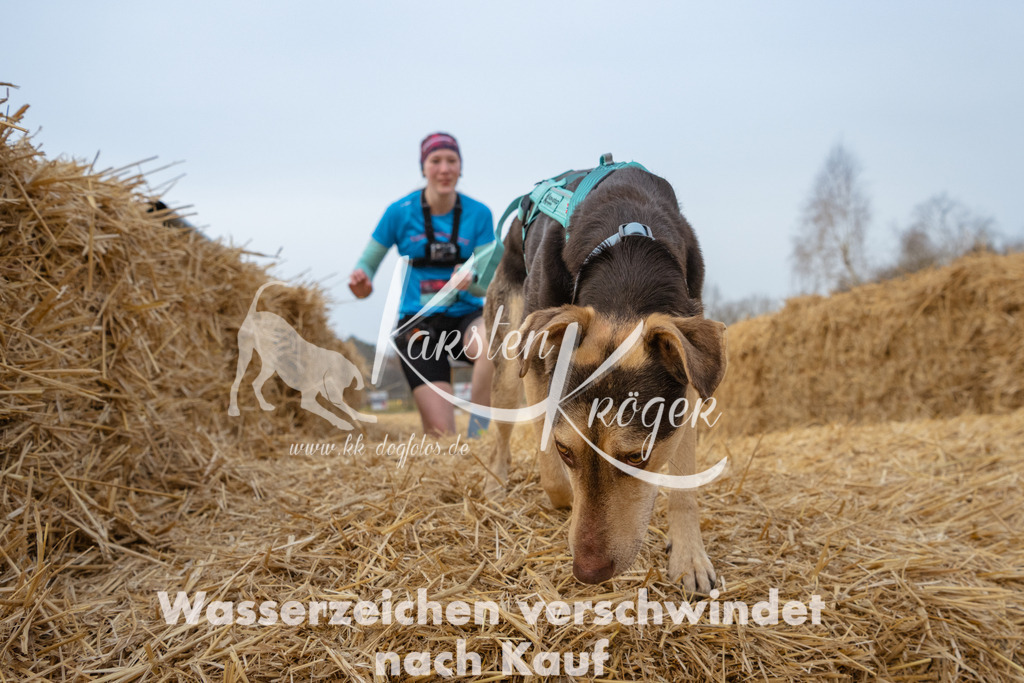 0837_ZZ93803 | kk-dogfotos