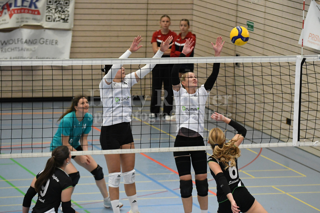 TSV Deggendorf Damen : Wilde Wespen Steinach | TSV Deggendorf Damen : Wilde Wespen Steinach - Realisiert mit Pictrs.com
