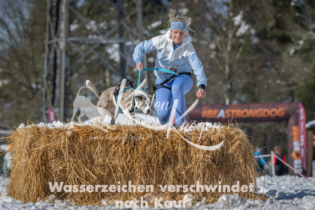 1118_ZZ91419-3 | kk-dogfotos
