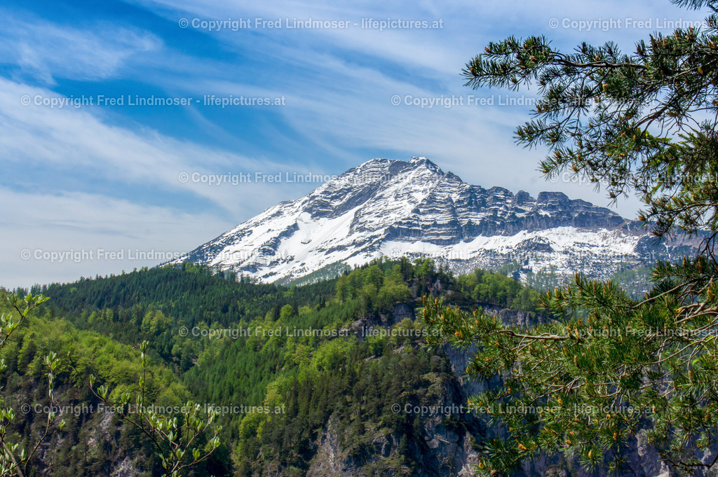 Otscher  (51) | Fotos und Fotoprodukte - Realisiert mit Pictrs.com