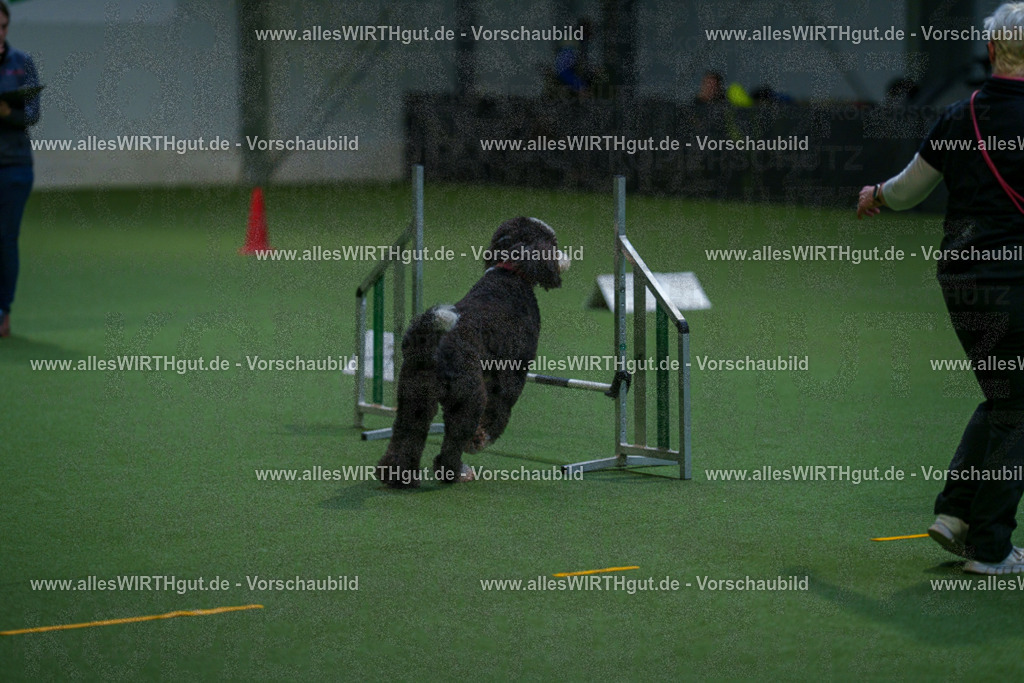 7R502667 | Professionelle Tierfotografie in Mönchengladbach von Daniel Wirth (allesWIRTHgut). Liebevolle & natürliche Bilder von Hunden & Katzen für unvergessliche Erinnerungen.