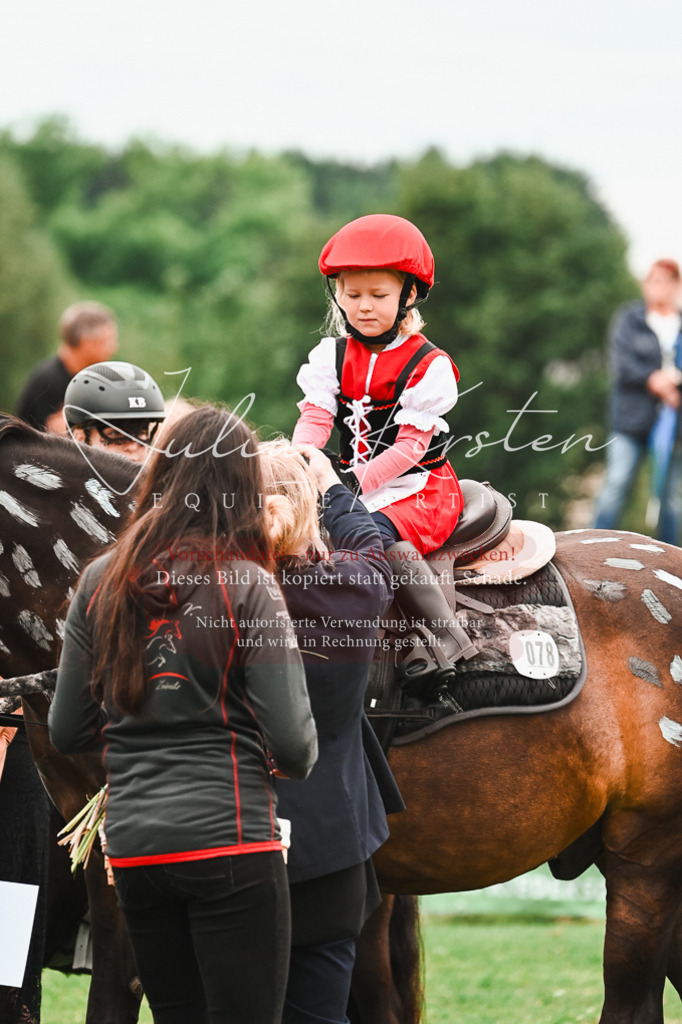 DSC_7451 | Pferde- und Turnierfotografie in Westsachsen. Pferdeportraits, Auftragszeichnungen und intuitive Kunst.