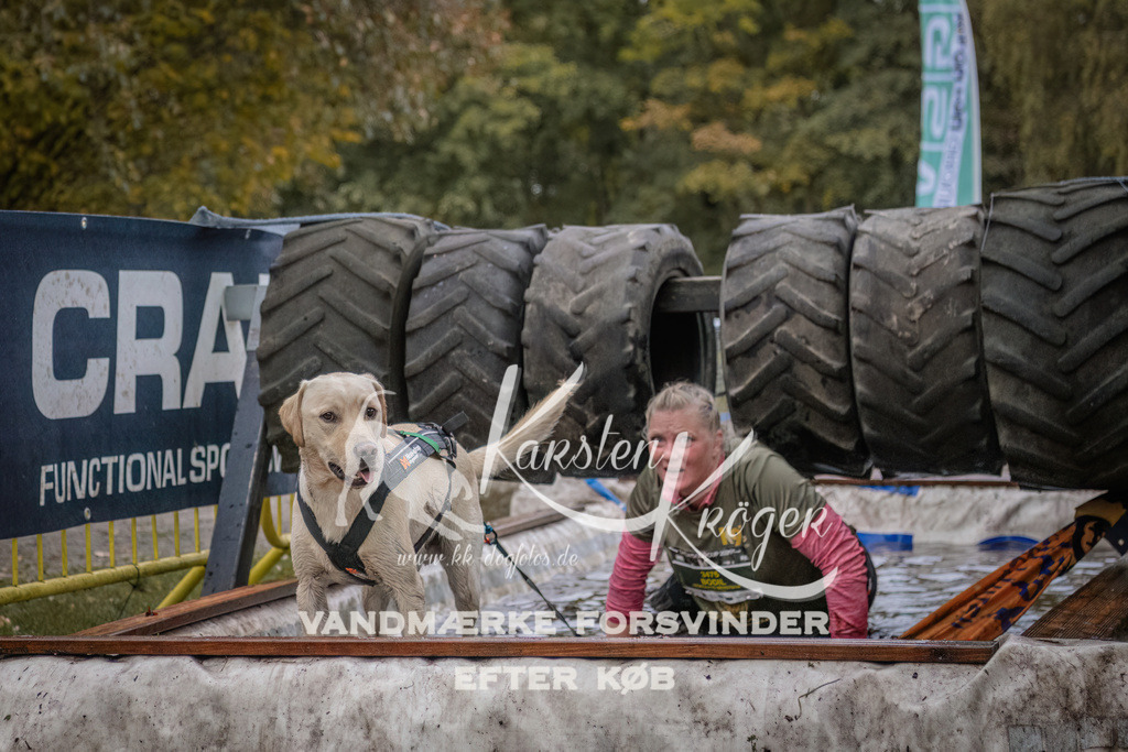 1659_ZZ94586 | kk-dogfotos