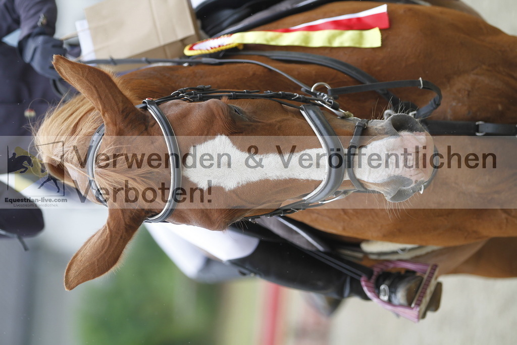 _MG_9884 | equestrian-live-com