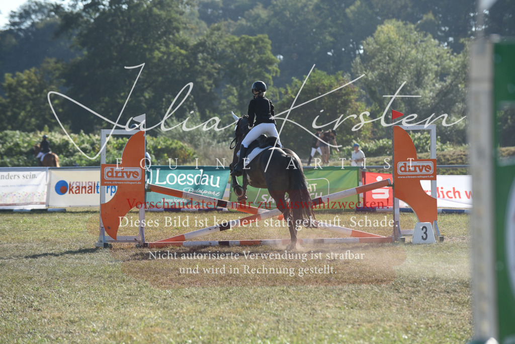 DSC_5736 | Pferde- und Turnierfotografie in Westsachsen. Pferdeportraits, Auftragszeichnungen und intuitive Kunst.