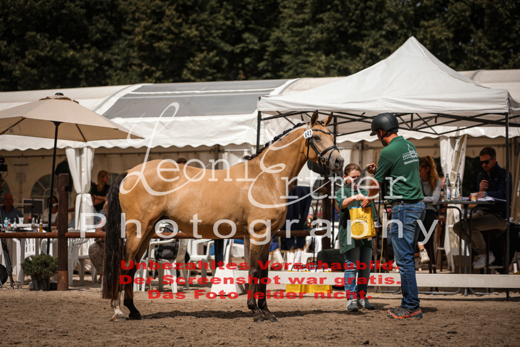 8.So00129 | Leoni Ertmer Photography - Realisiert mit Pictrs.com