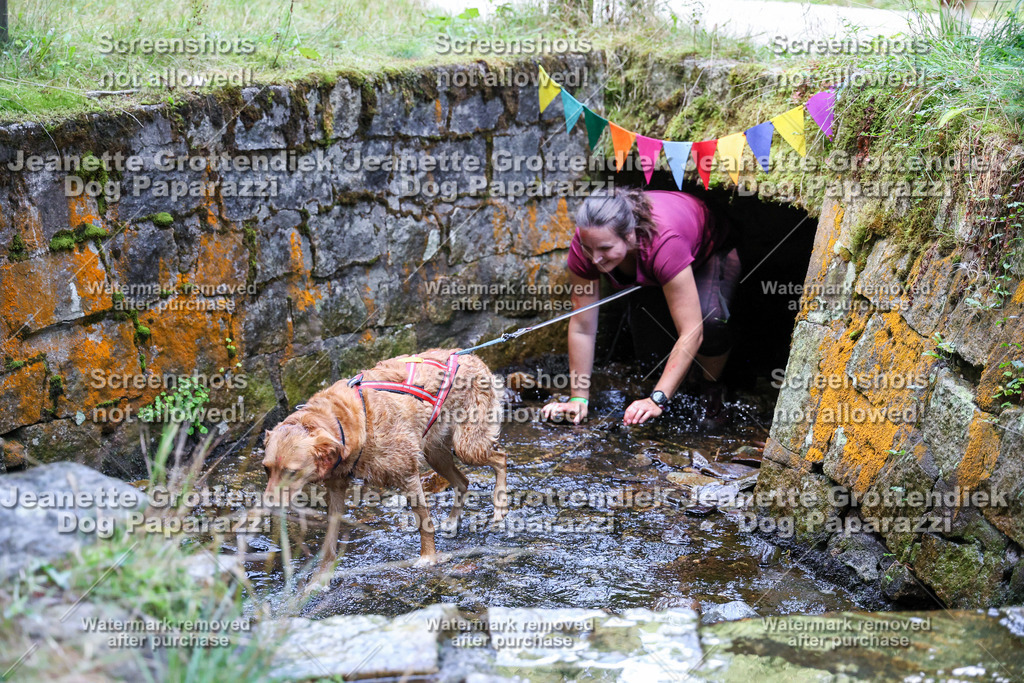 Dog Paparazzi -  TH 26-533 | Dog Paparazzi Jeanette Grottendiek Fotografie & Videografie - Realisiert mit Pictrs.com