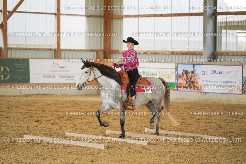 DSC04185 | Pferdegrafie