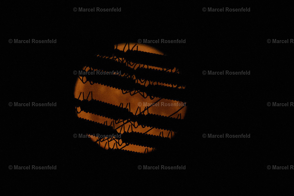 _DSC2664 | foto-rosenfeld