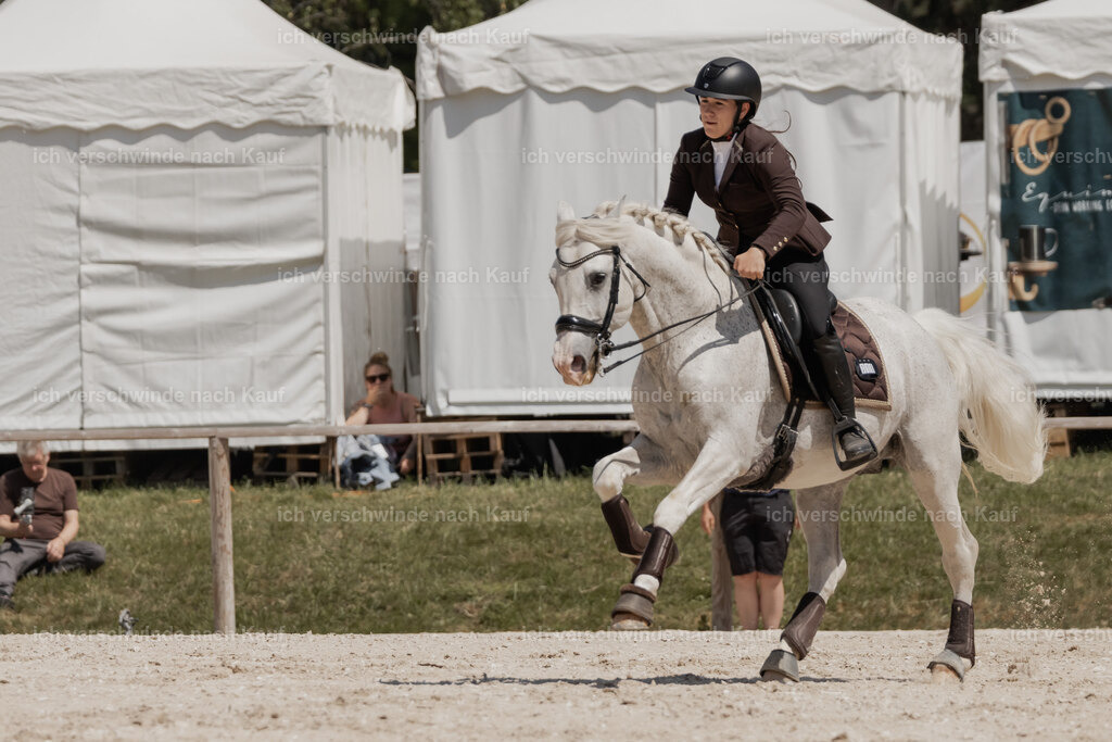 WE_SP_Stoib_318_PI2025_2071 | Pferd International München 2025