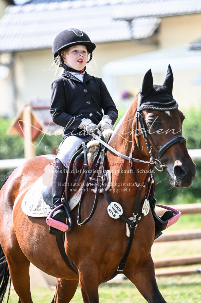 DSC_8512 | Pferde- und Turnierfotografie in Westsachsen. Pferdeportraits, Auftragszeichnungen und intuitive Kunst.