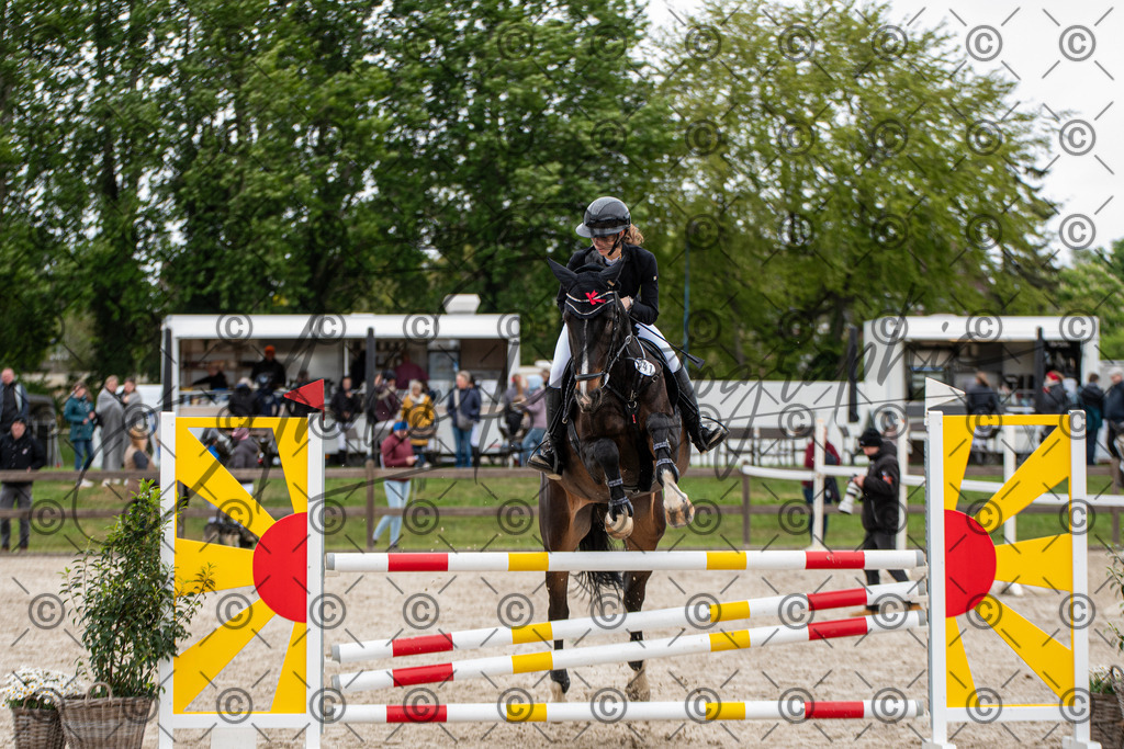 KPT_8708 | andre_photographic