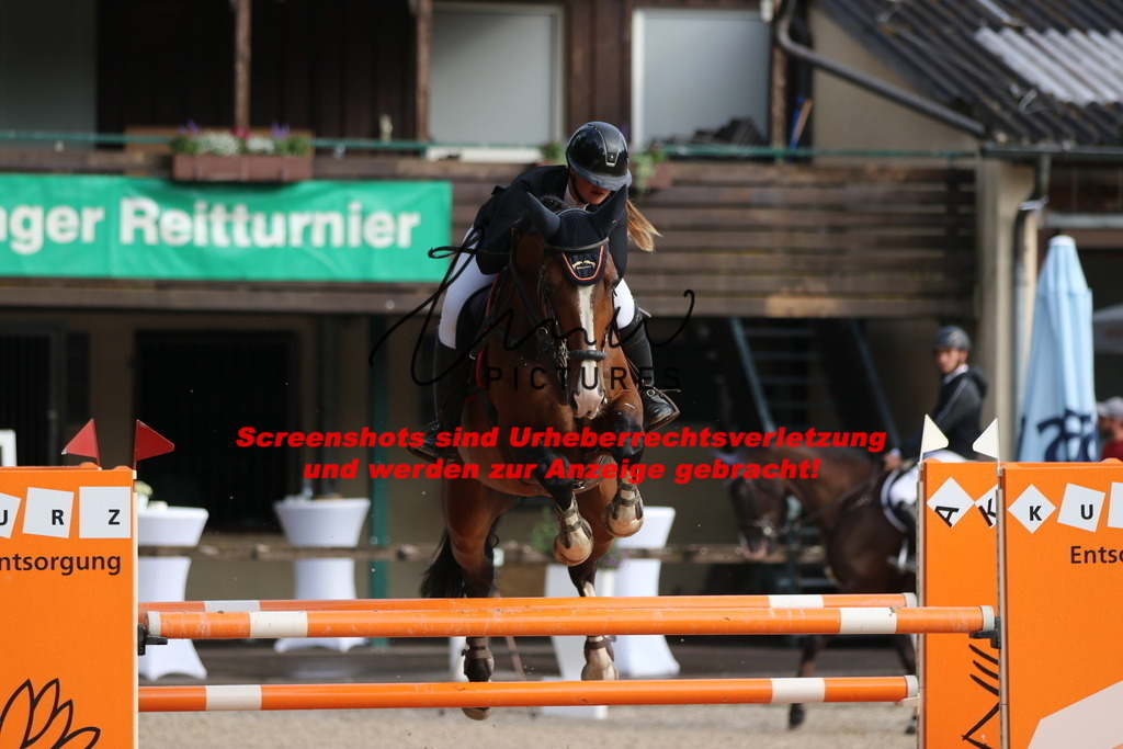 IMG_8639 | lmwpictures - Realisiert mit Pictrs.com