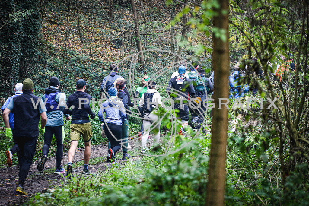 ..... | AUSTRIA, 09.11.24, Leonding,TGW KÜRNBERGTRAILRUN, Image shows: Photo: Wapics / Andreas Willdoner