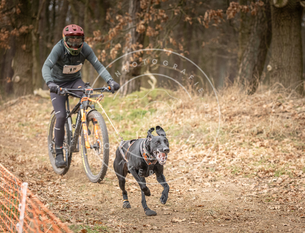 Pfotenfotografie_DV3A2713 | Hundefotografie, Tierfotograf, Pfotenfotografie, Fotoshooting Hund, Hunde Portrait, Hundesport, Hundeportraits, Heideshooting, Hunde, Sportfotograf, Hundefotograf, Turnierhundsport, THS,  - Realisiert mit Pictrs.com