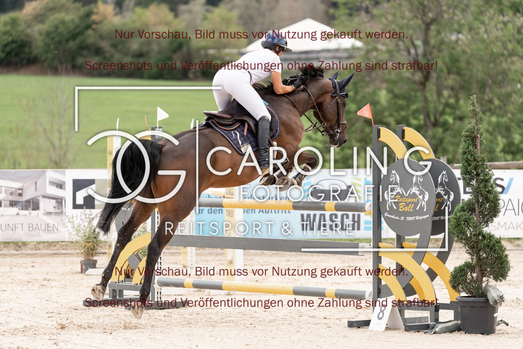 DSC06640 | Springturnier_Teamchallege_Talheim_2026, Elisabeth_Mayer, Parley