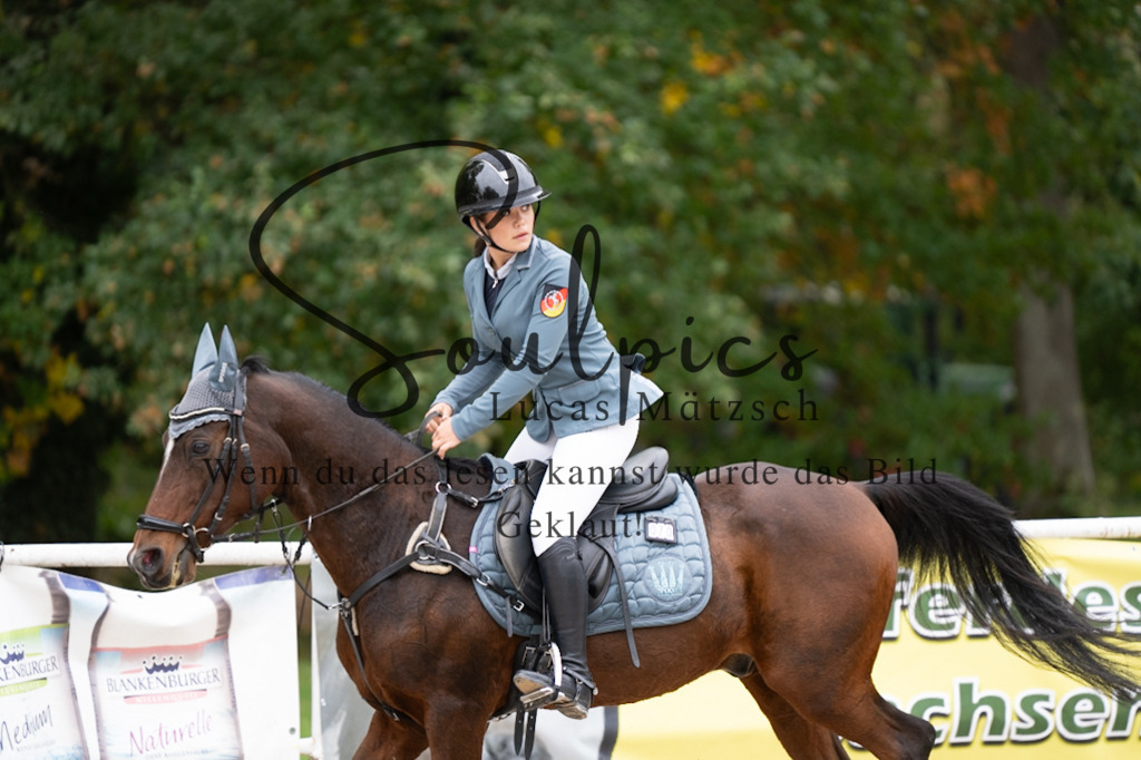 A7V07855 | Pferdefotograf