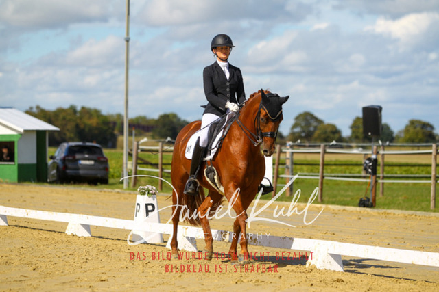 DKP44201 | Turniersportfotografie; Pferdefotografie; Dressurfotografie