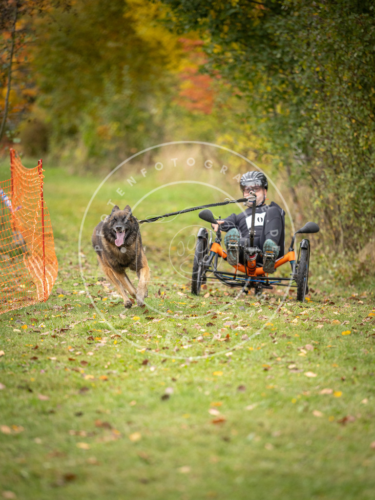 Pfotenfotografie_DV3A3526 | Hundefotografie, Tierfotograf, Pfotenfotografie, Fotoshooting Hund, Hunde Portrait, Hundesport, Hundeportraits, Heideshooting, Hunde, Sportfotograf, Hundefotograf, Turnierhundsport, THS,  - Realisiert mit Pictrs.com