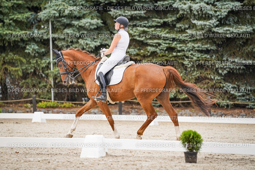 DSC08595 | Pferdegrafie