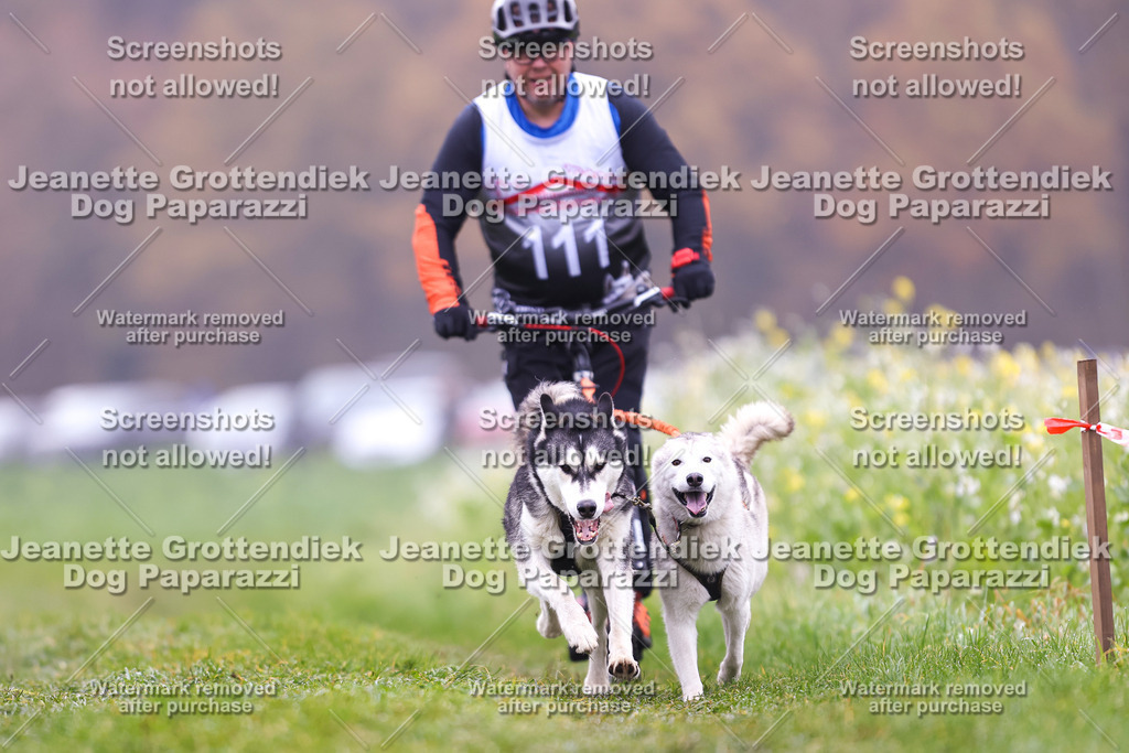 Dog Paparazzi - Visbeck 25 -125 | Dog Paparazzi Jeanette Grottendiek Fotografie & Videografie - Realisiert mit Pictrs.com