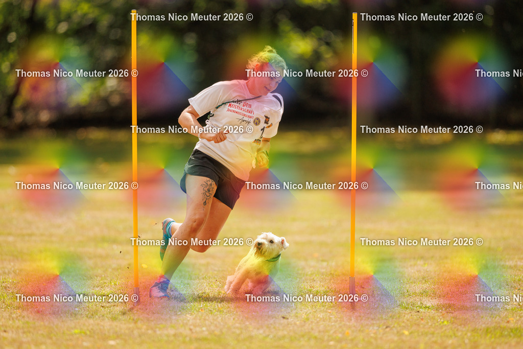 Thomas_Nico_Meuter(C)_22. August 2026_223A3598 | Bild von Thomas Nico Meuter - Realisiert mit Pictrs.com