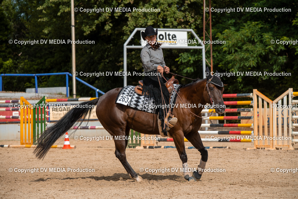 EWP_5911 | dv-media-shop - Realisiert mit Pictrs.com