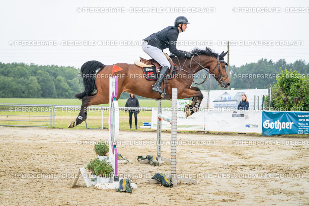 DSC01446 | Pferdegrafie