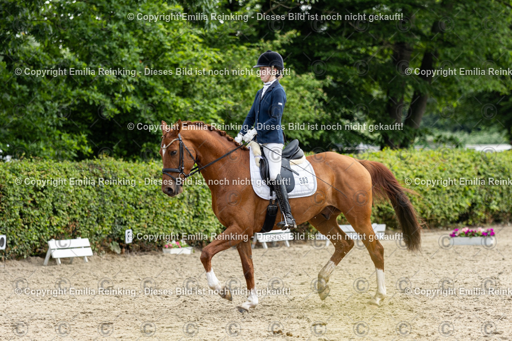 CL5A5015 | Emilia Reinking Fotografie - Realisiert mit Pictrs.com