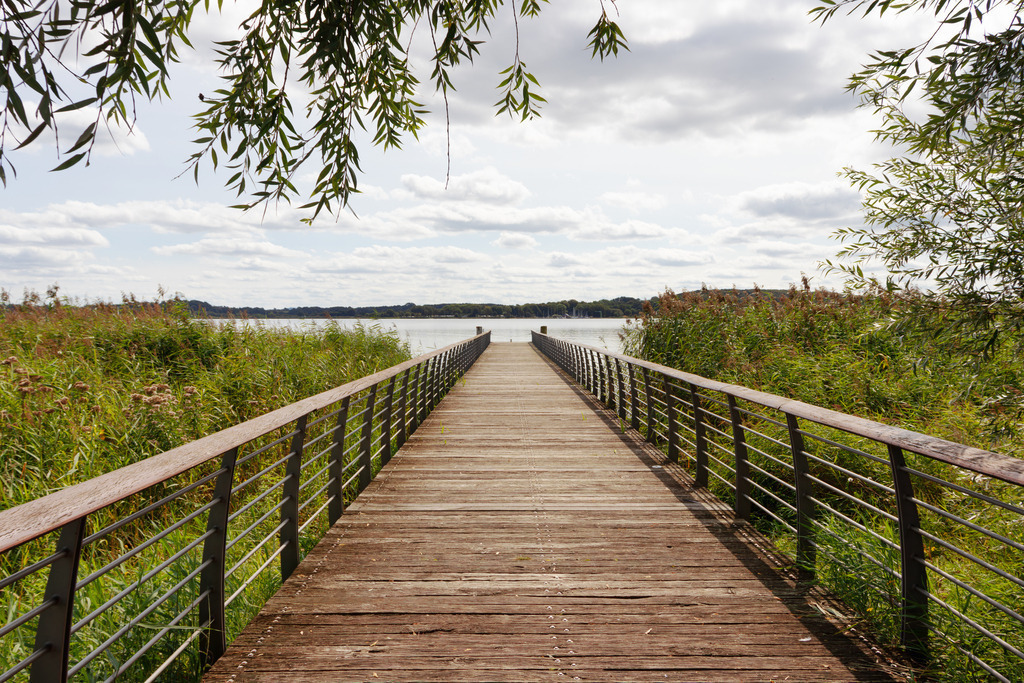 Wandbild: Seebrücke an den Königswiesen in Schleswig  | Dieses Wandbild im Querformat zeigt eine Seebrücke an den Königswiesen in Schleswig an der Schlei. Die Seebrücke liegt inmitten von Schilf. Von oben ragen einige Zweige ins Bild. Am Himmel befinden sich einige sommerliche Wolken. - Realisiert mit Pictrs.com