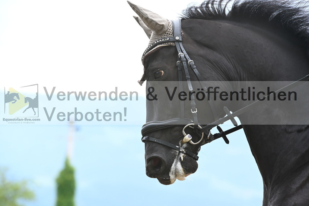 DSC_8217 | equestrian-live-com
