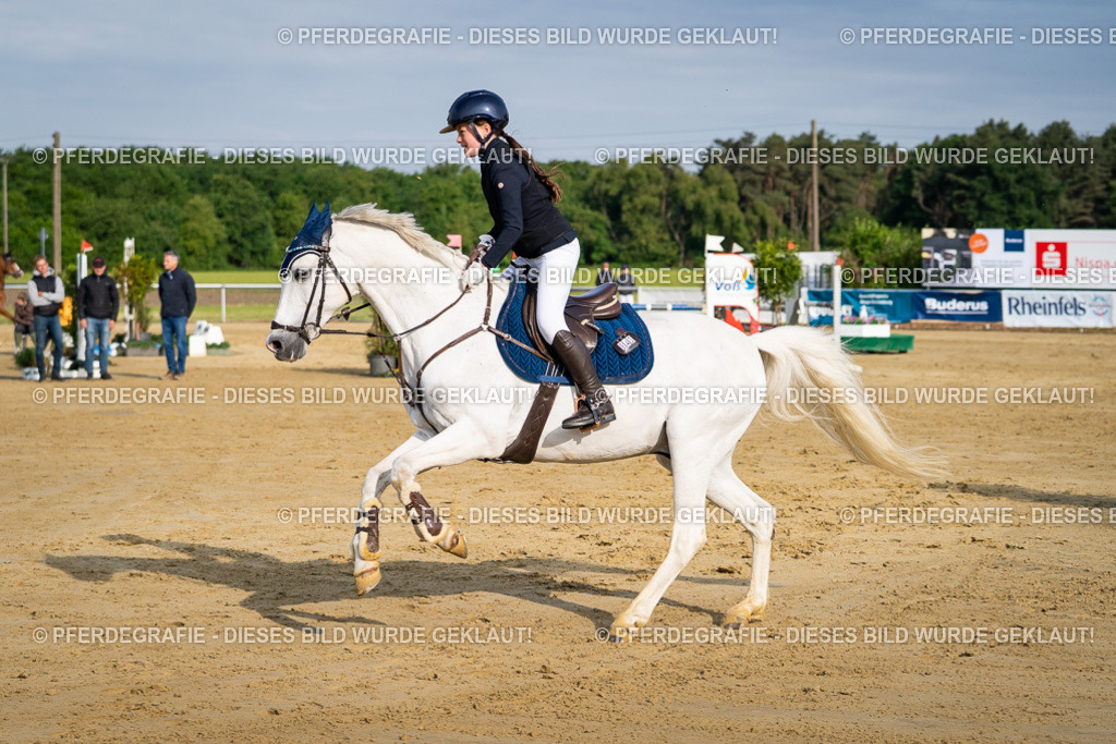 DSC02984 | Pferdegrafie