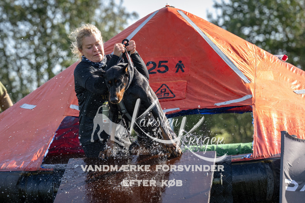 1149-92308 | kk-dogfotos