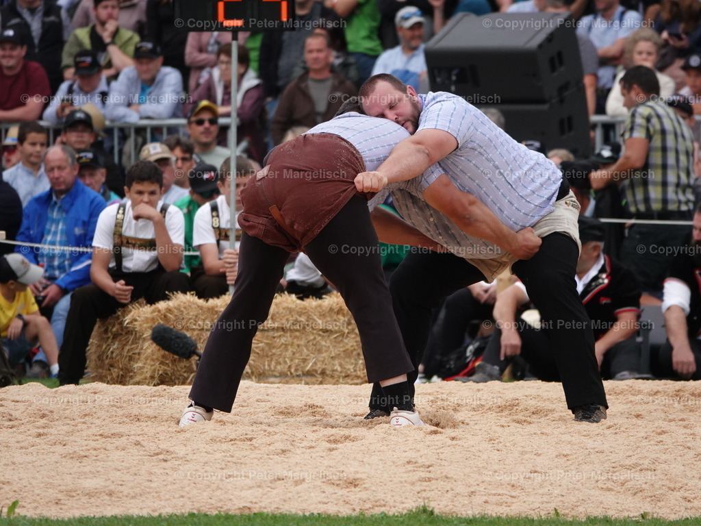 DSC08331 | Schwingen - Realisiert mit Pictrs.com