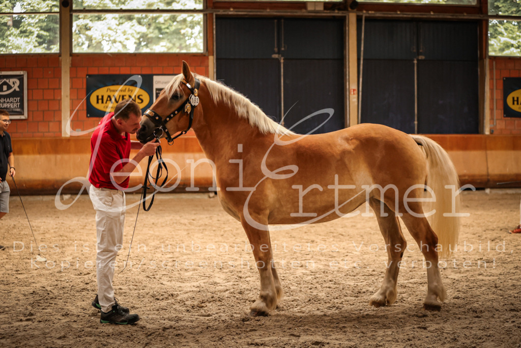 SaFL00267 | Leoni Ertmer Photography - Realisiert mit Pictrs.com