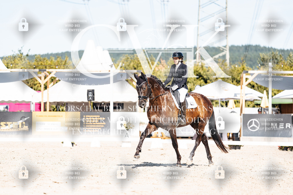 CK908534 | Turnierfotografie Pferdefotografie Trier Rheinland-Pfalz Pferdesport Reitsport Tierfotografie Sportfotografie Pferdevideo Pferdevideografie Equestrianvideography equestrianphotography  - Realisiert mit Pictrs.com