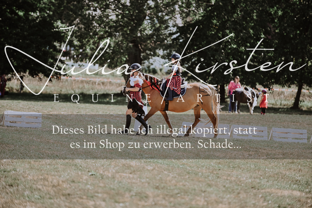 DSC_9003 | Pferde- und Turnierfotografie in Westsachsen. Pferdeportraits, Auftragszeichnungen und intuitive Kunst.