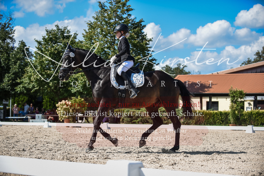 DSC_9557 | Pferde- und Turnierfotografie in Westsachsen. Pferdeportraits, Auftragszeichnungen und intuitive Kunst.