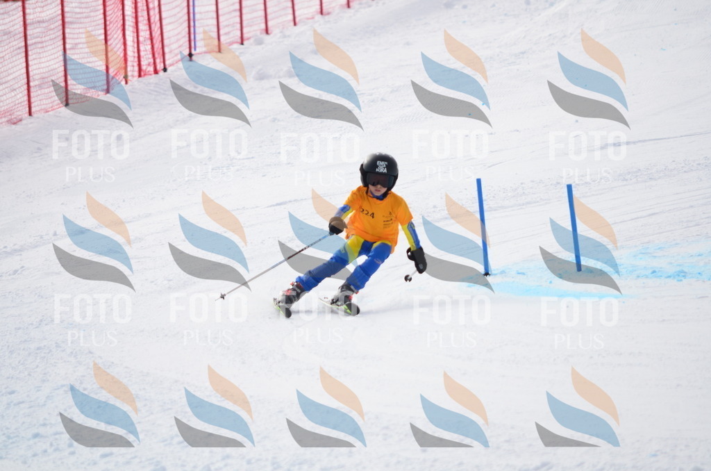 C8262 | holidayphoto