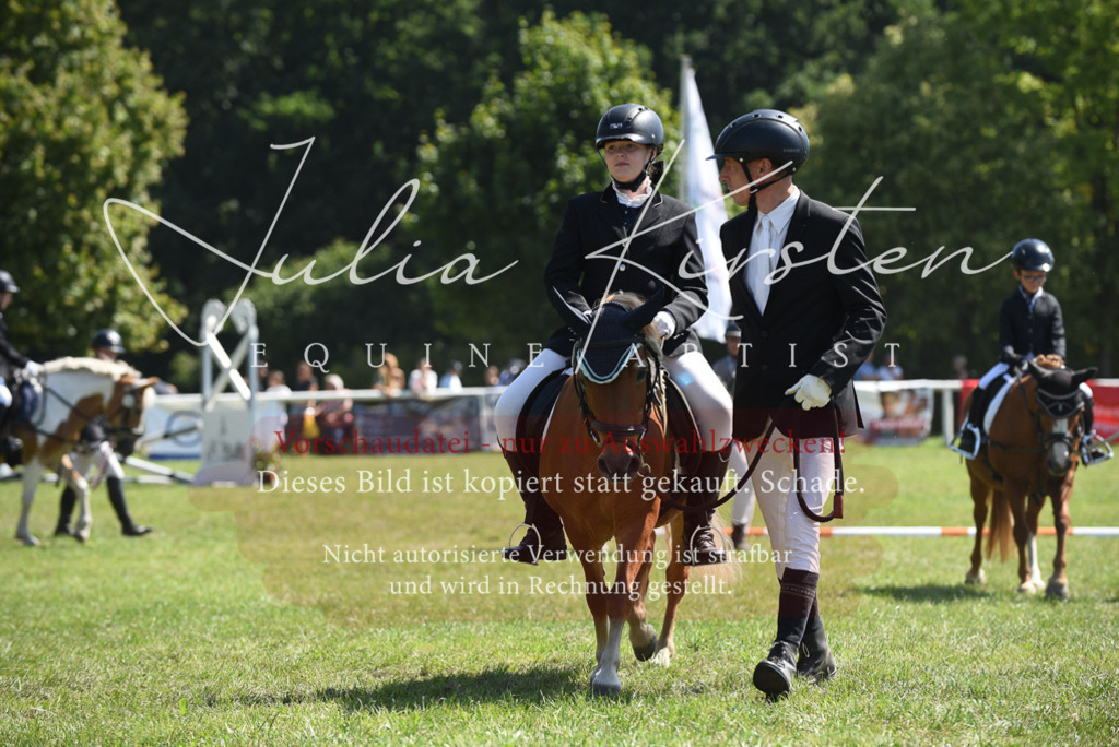 DSC_9723 | Pferde- und Turnierfotografie in Westsachsen. Pferdeportraits, Auftragszeichnungen und intuitive Kunst.