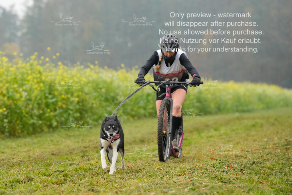 Visbeck_Sa_Scooter_Hc-86 | stephaniefillaphotographie - Realisiert mit Pictrs.com