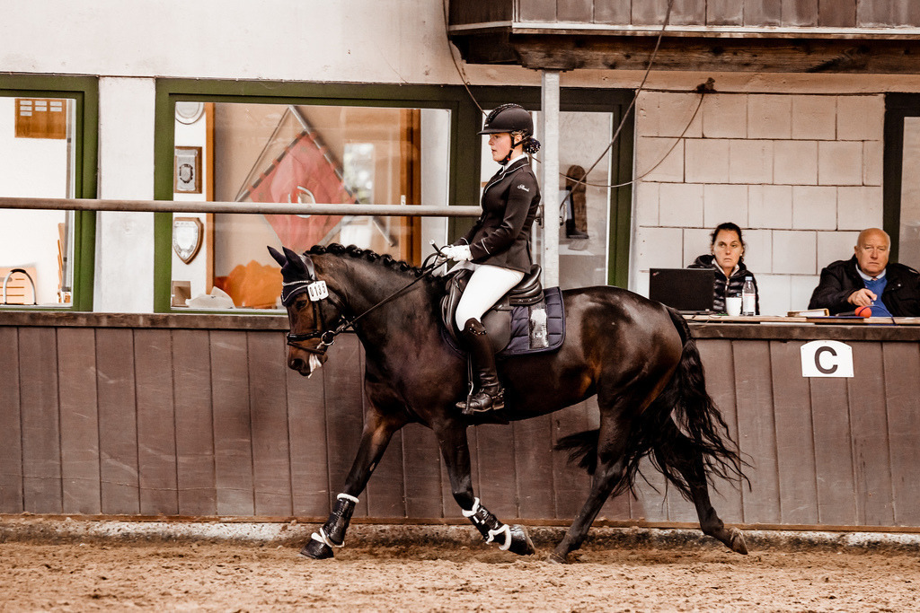 Kombi-6 | Kristin Schumacher Photography