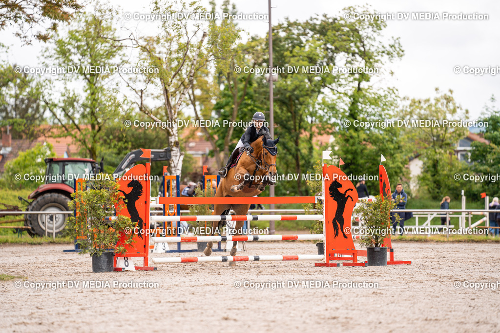 Eppelheim Tag 3-30 | dv-media-shop - Realisiert mit Pictrs.com