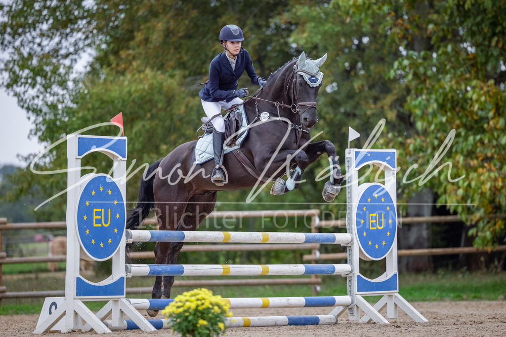 20251012-_3LI4392 | Tierfotografie Pferde, Hunde, Katzen, Haustiere.
Turnierfotografie Reitturniere, Reiten, Springreiten, Dressur in Hanau, dem Main-Kinzig-Kreis und dem Rhein-Main- Gebiet um Frankfurt