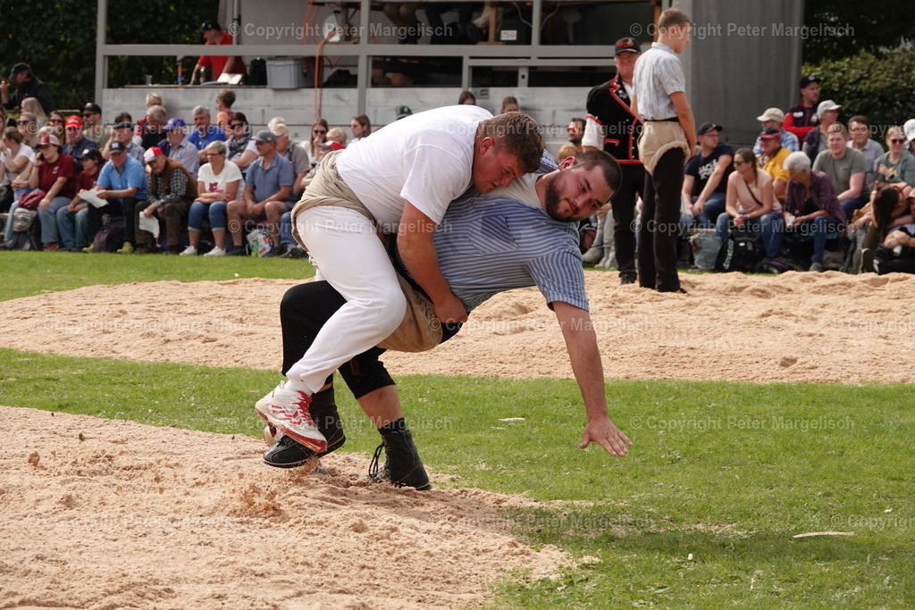DSC08503 | Schwingen - Realisiert mit Pictrs.com