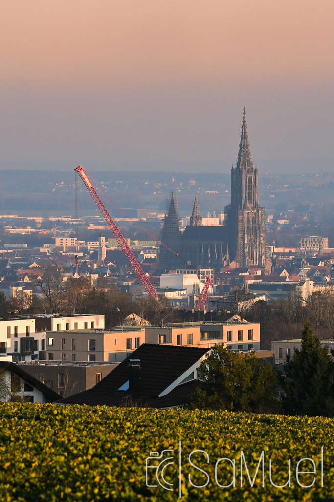 20260304-SML_0101 | Sa-Muel - Realisiert mit Pictrs.com