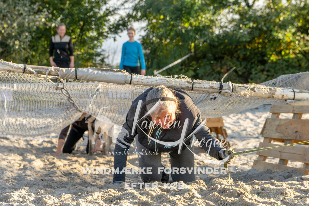 1653_ZZ90047 | kk-dogfotos