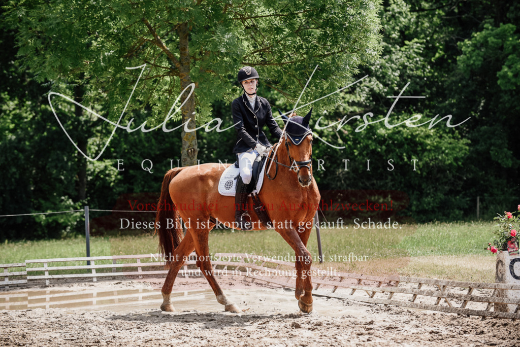 DSC_1548 | Pferde- und Turnierfotografie in Westsachsen. Pferdeportraits, Auftragszeichnungen und intuitive Kunst.