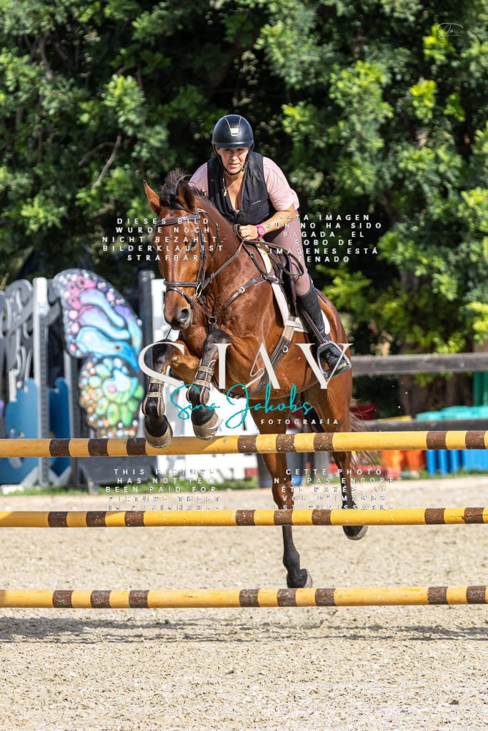 IMG_3567 | s-jay-photography - Realisiert mit Pictrs.com