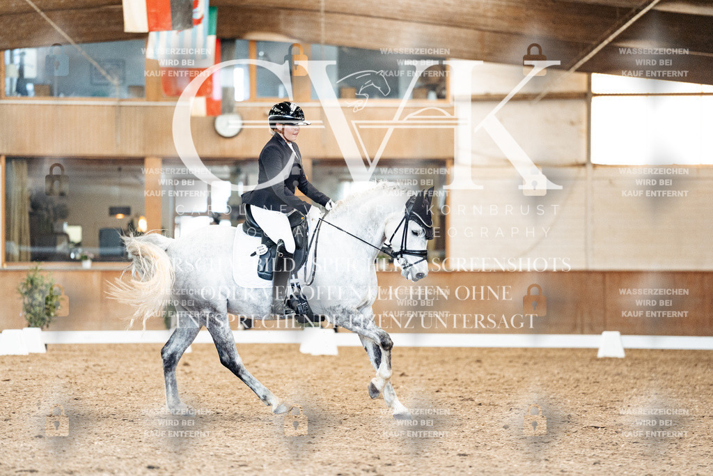CK909671 | Turnierfotografie Pferdefotografie Trier Rheinland-Pfalz Pferdesport Reitsport Tierfotografie Sportfotografie Pferdevideo Pferdevideografie Equestrianvideography equestrianphotography  - Realisiert mit Pictrs.com